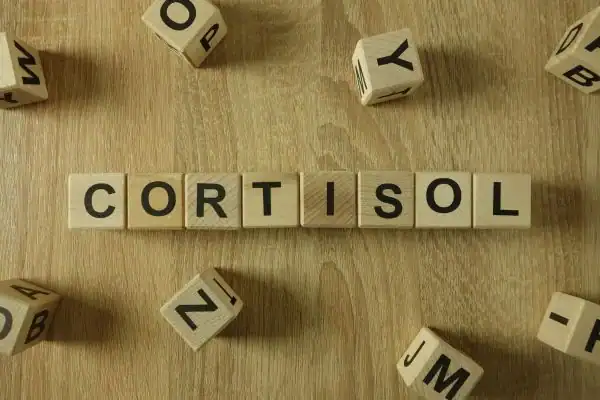 The Hidden Connection: How Stress Shapes Your Fitness and Body Composition 2 Image saying "Cortisol" and how stress East Sussex impacts your wellbeing and bodies shape